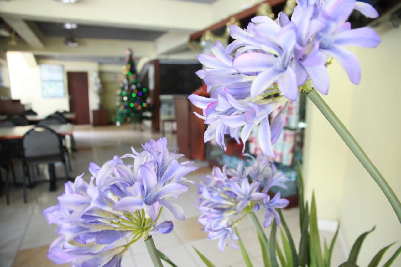 Pandu Lakeside Hotel Parapat Εξωτερικό φωτογραφία